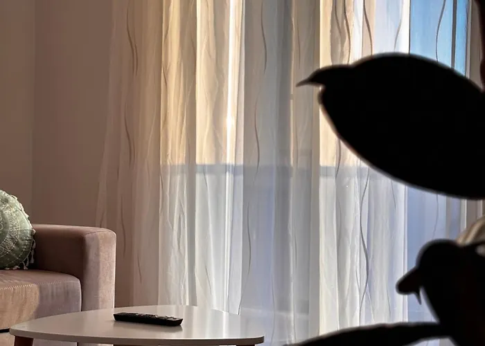 Jon's 公寓 地拉那